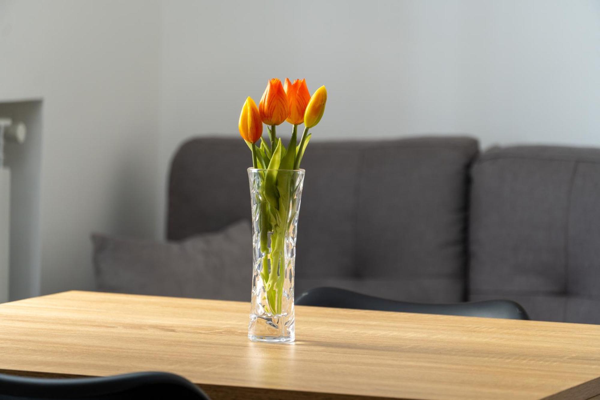 Marle Apartment Palermo Dış mekan fotoğraf